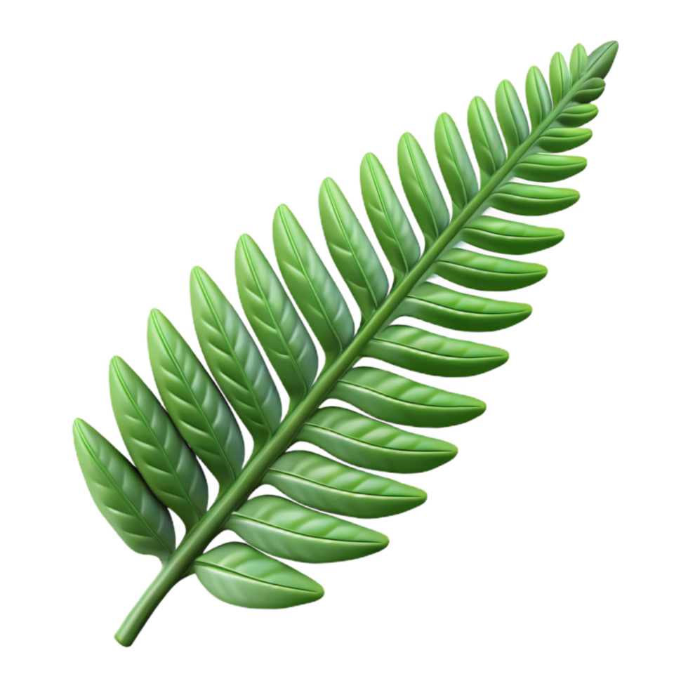 impressive contemporary Fern Leaf Isolated with Delicate Fronds authentic png
