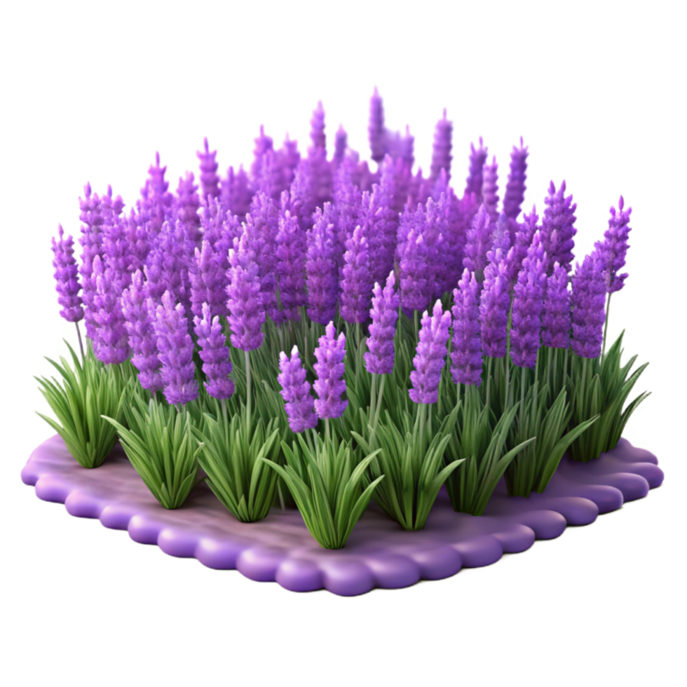 serene vintage Field of Lavender Purple Hues Fragrant Bloom Transparent Background genuine png