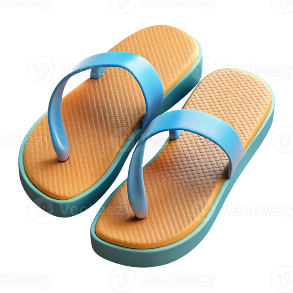 serene vintage Flip Flops Rubber Soles Transparent Cutout authentic png
