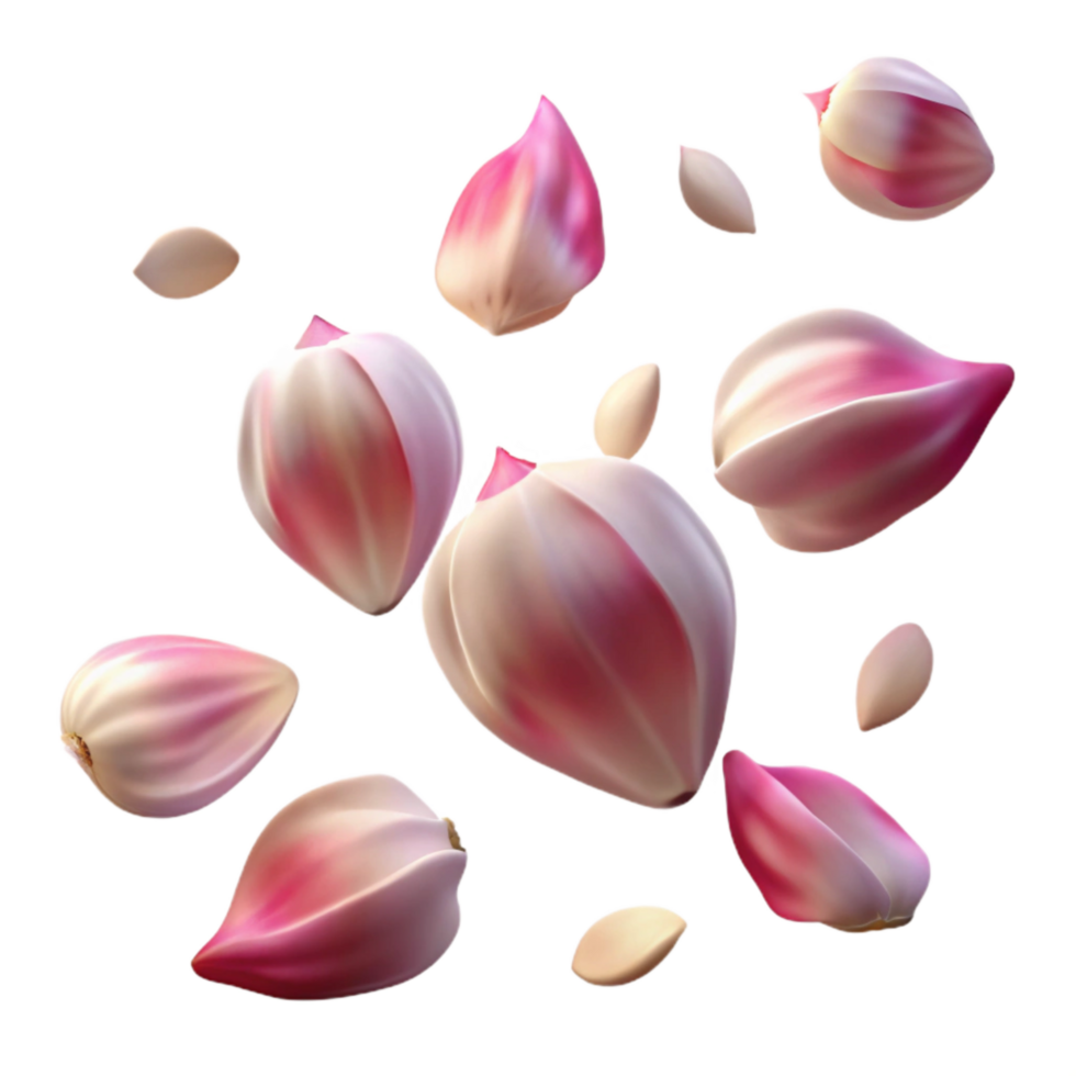 impressive contemporary Flower Petals Falling Isolated original png