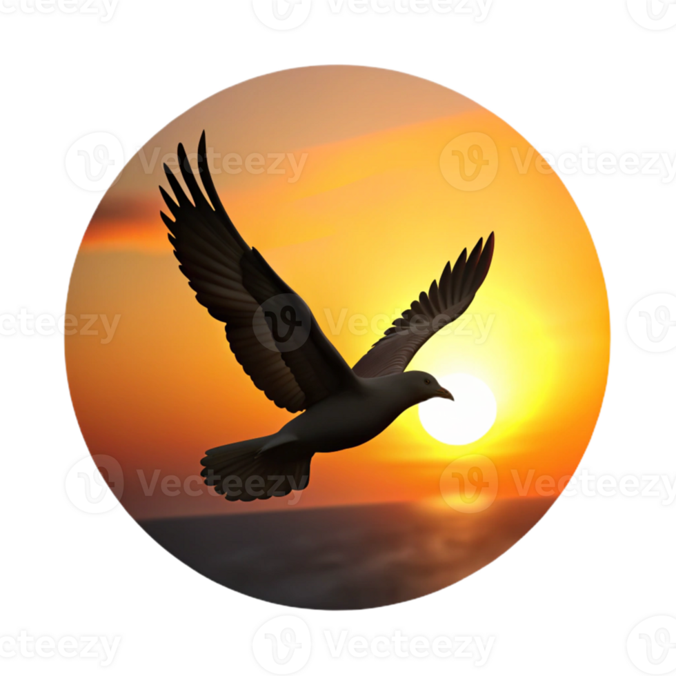 wonderful rustic Flying Bird Silhouette Sunset Background Cutout authentic png