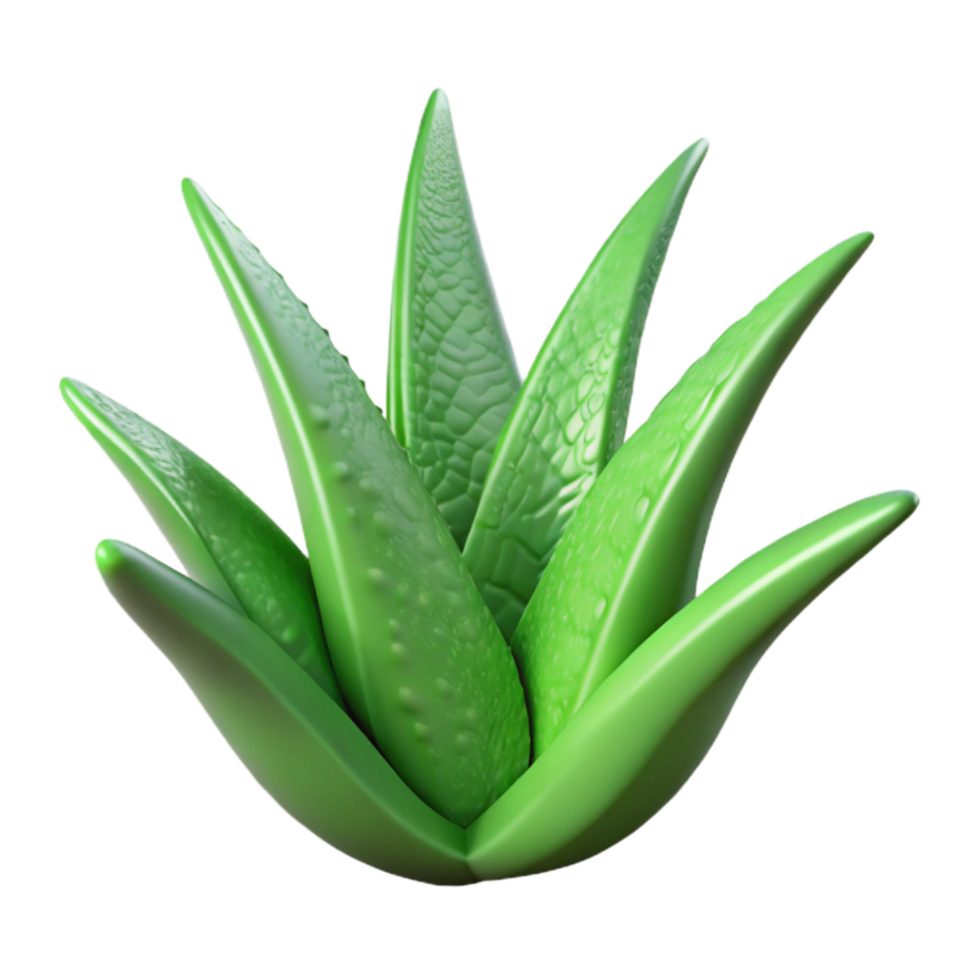 serene abstract Green Aloe Vera Leaf Cutout Image Isolated 4K png