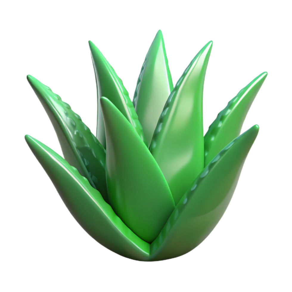 impressive rustic Green Aloe Vera Leaf Cutout Image Isolated authentic png