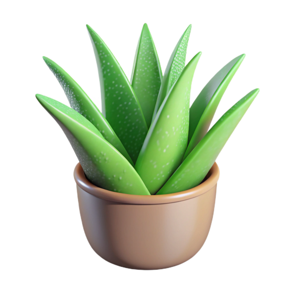 wonderful classic Green Aloe Vera Plant Potted Isolated Cutout professional png