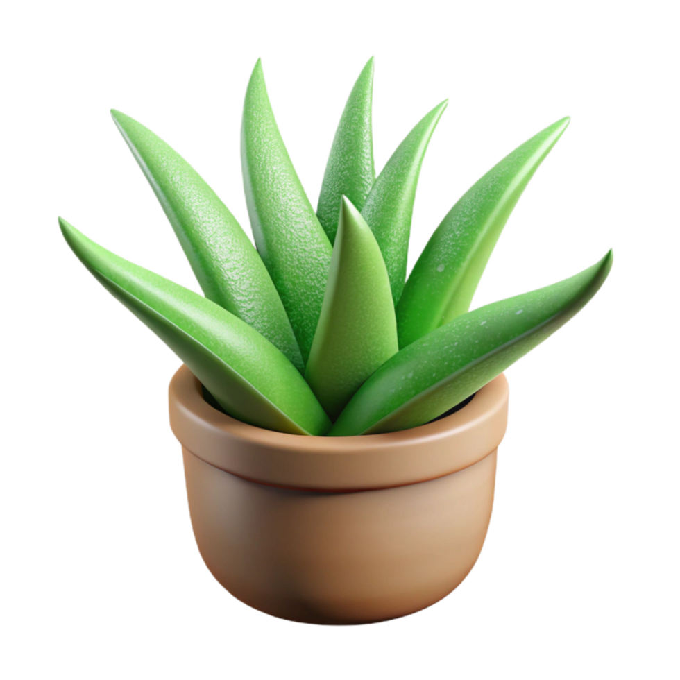 serene classic Green Aloe Vera Plant Potted Isolated Cutout exclusive png
