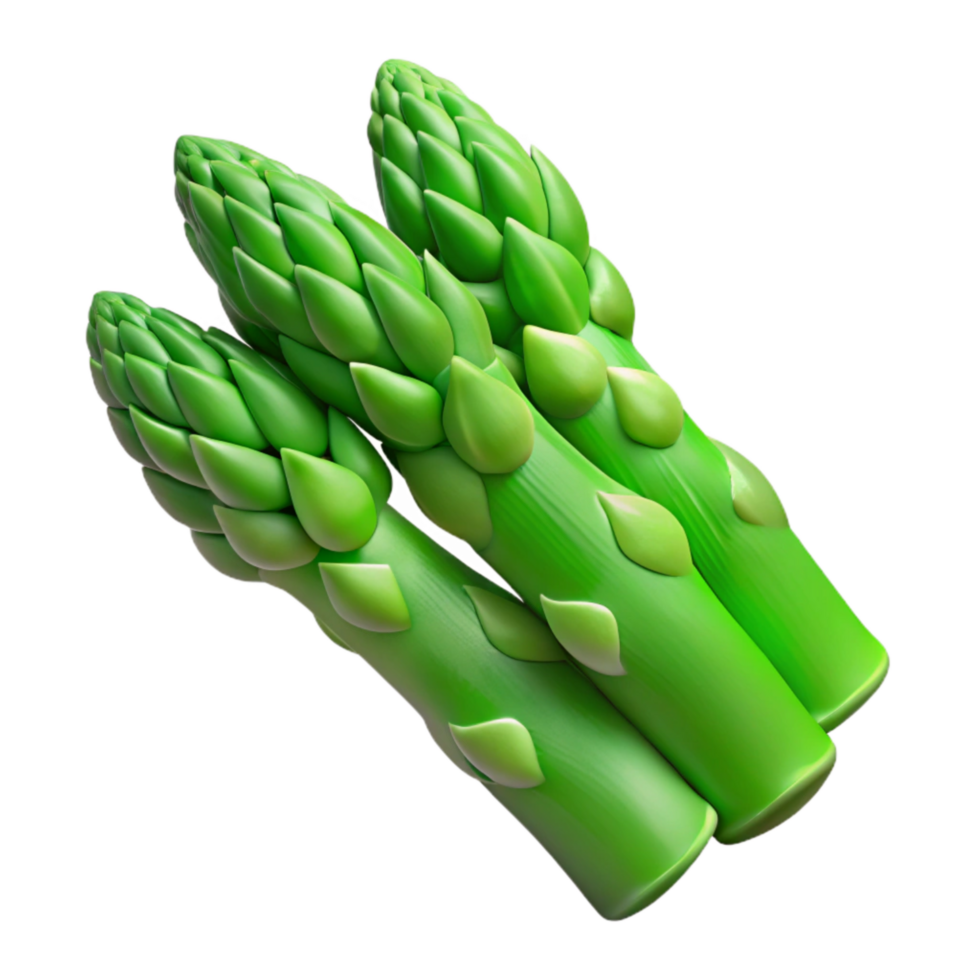 serene creative Green Asparagus Spears Isolated Element premium png