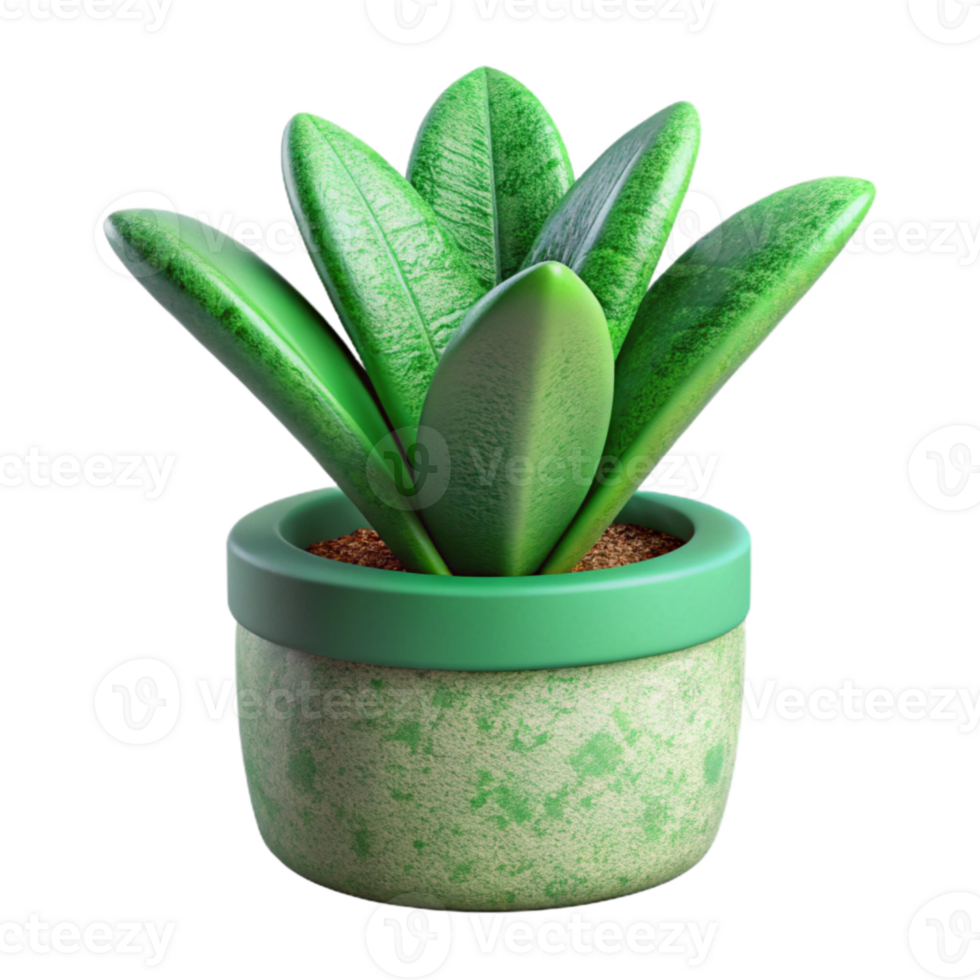 dramatic rustic Green Desk Plant in Pot with Transparent Background 4K png