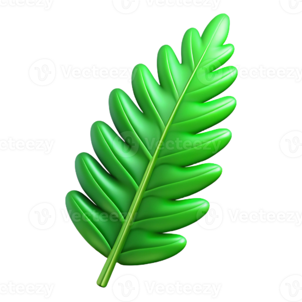 impressive artistic Green Fern Leaf Isolated on Transparent Background exclusive png