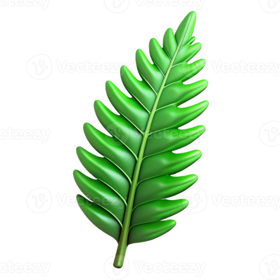 beautiful vintage Green Fern Leaf Isolated on Transparent Background genuine png