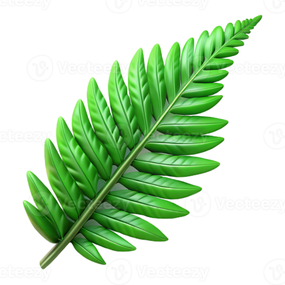 beautiful modern Green Fern Fronds Detailed View Cutout Element 4K png