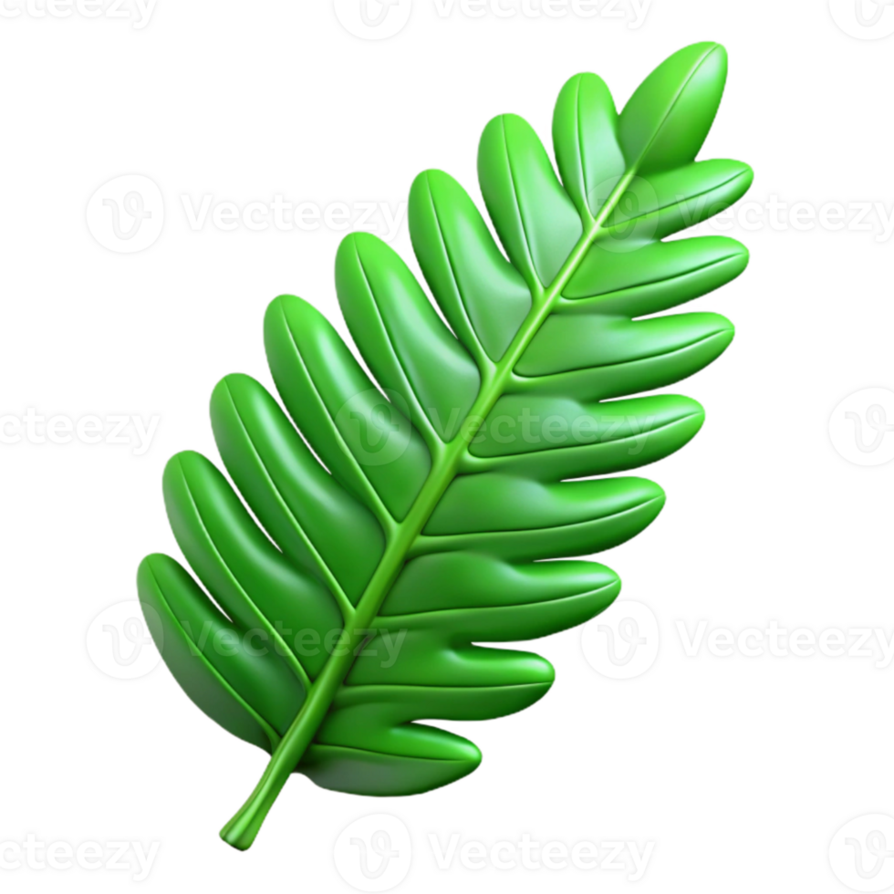 extraordinary traditional Green Fern Leaf Isolated on Transparent Background genuine png