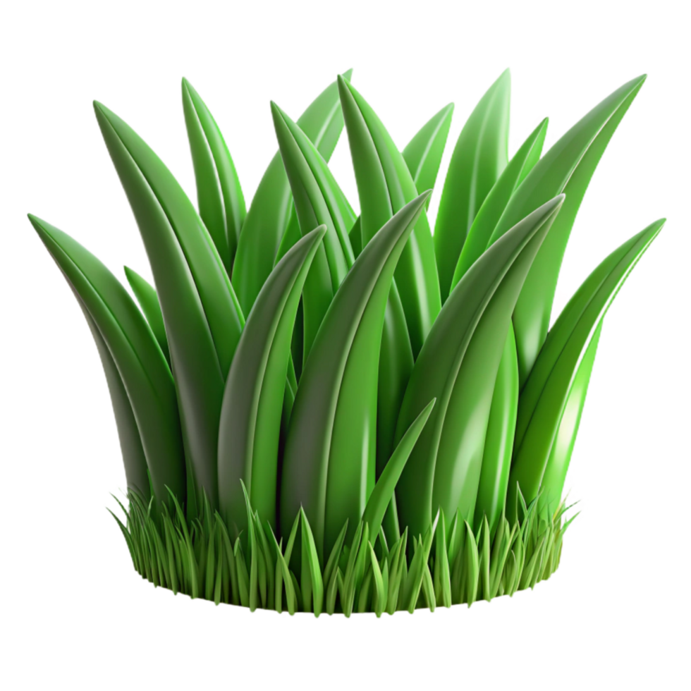 beautiful modern Green Grass Blades Close Up Texture Transparent detailed png