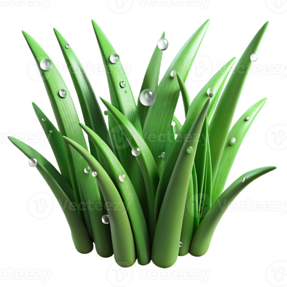 magnificent vintage Green Grass Blades Dew Drops Isolated Element genuine png
