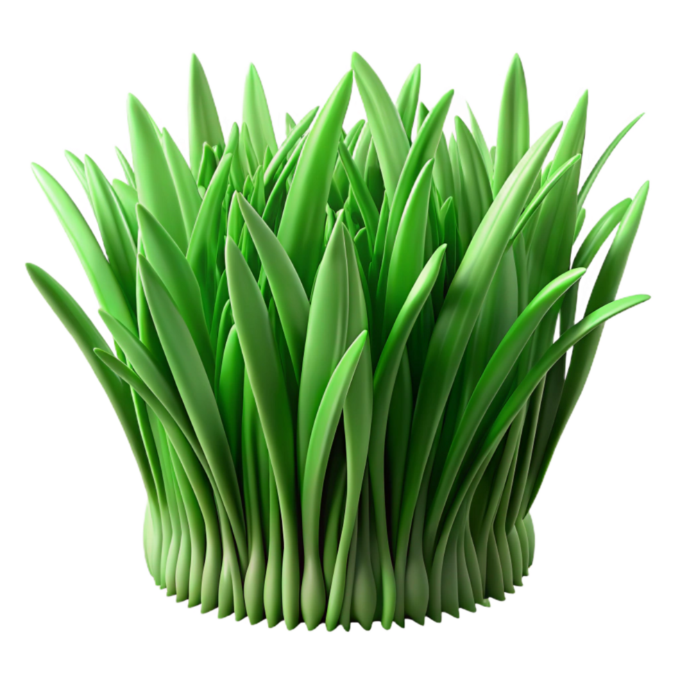 serene rustic Green Grass Texture Close Up Isolated high resolution png