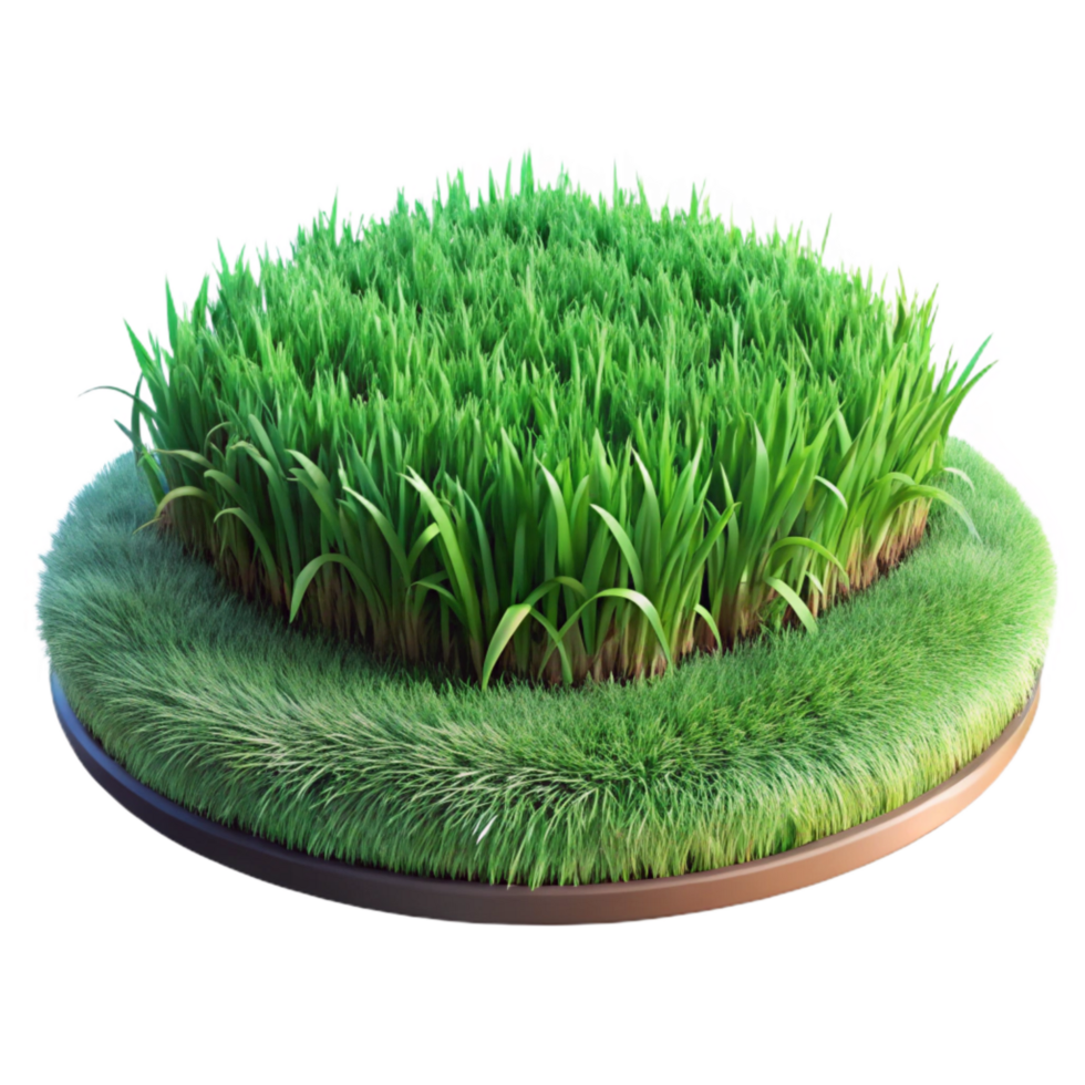 beautiful rustic Green Grass Meadow Lush Greenery Springtime Isolated high resolution png