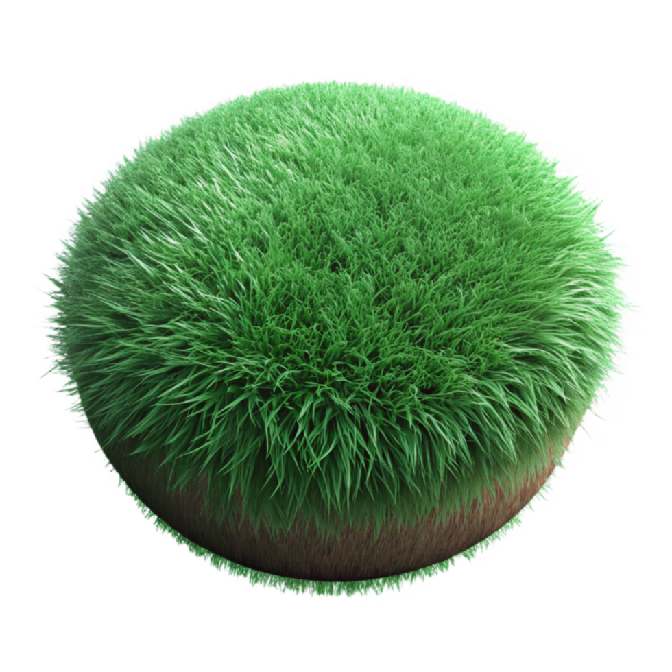 magnificent creative Green Grass Texture Close Up Isolated 4K png