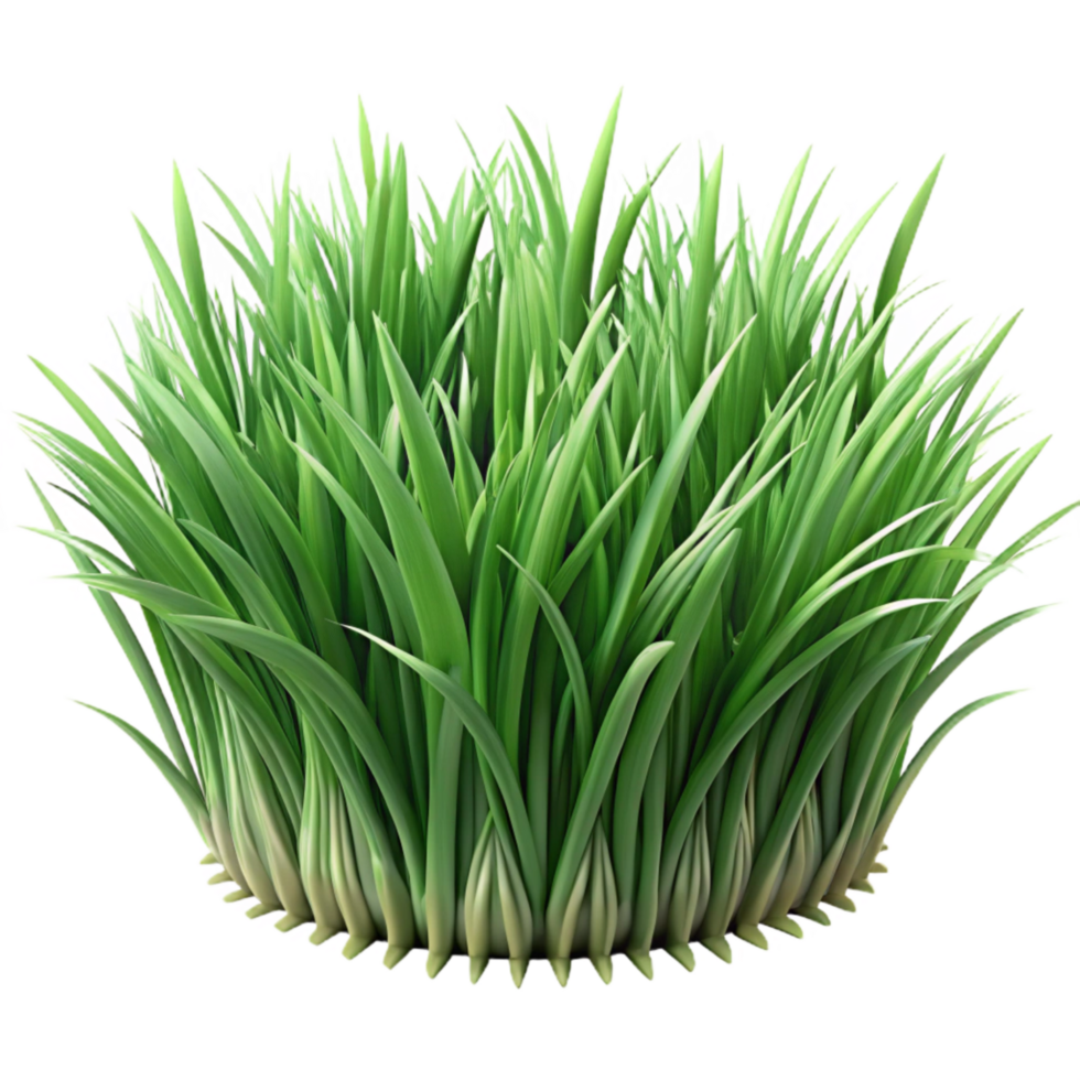 elegant contemporary Green Grass Texture Close Up Isolated high resolution png