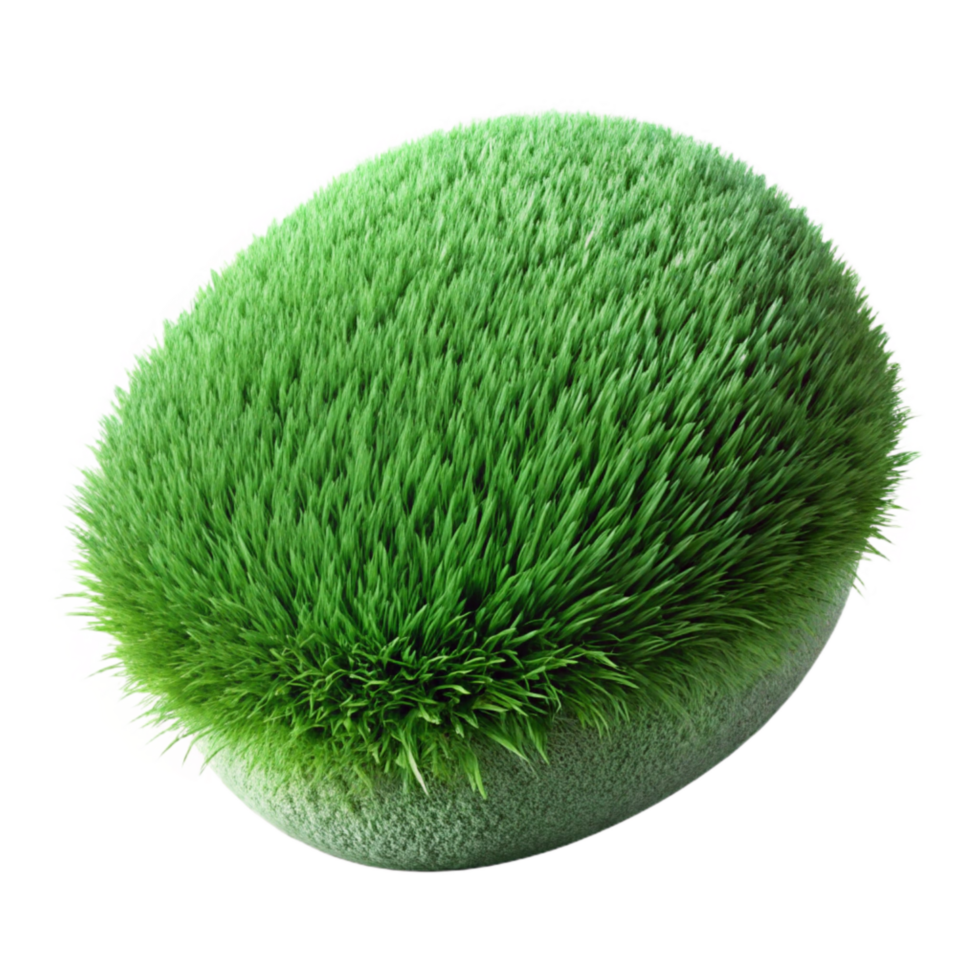 wonderful contemporary Green Grass Texture Close Up Isolated original png