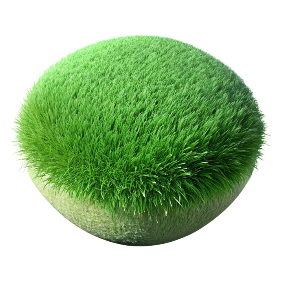 vibrant classic Green Grass Texture Close Up Isolated authentic png