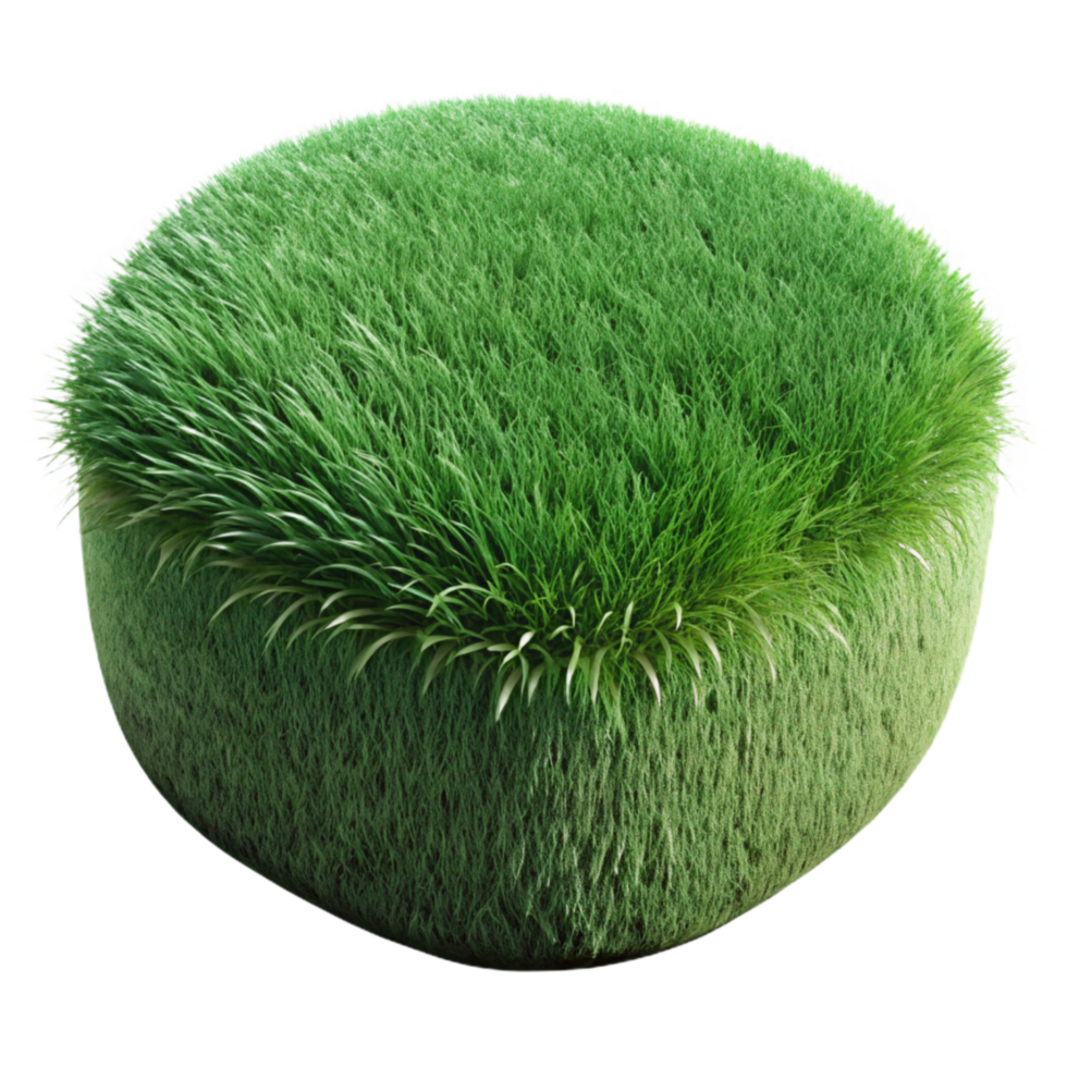 stunning minimalist Green Grass Texture Close Up Isolated original png