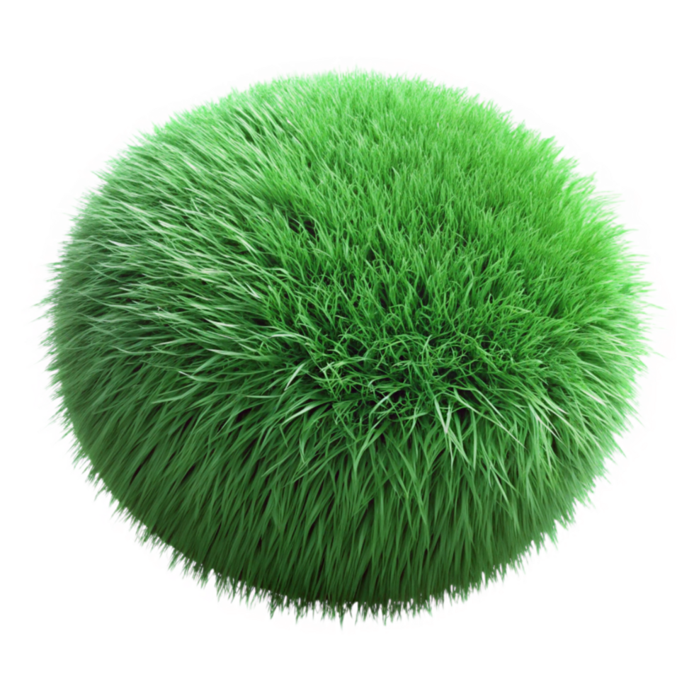 beautiful abstract Green Grass Texture Close Up Isolated premium png