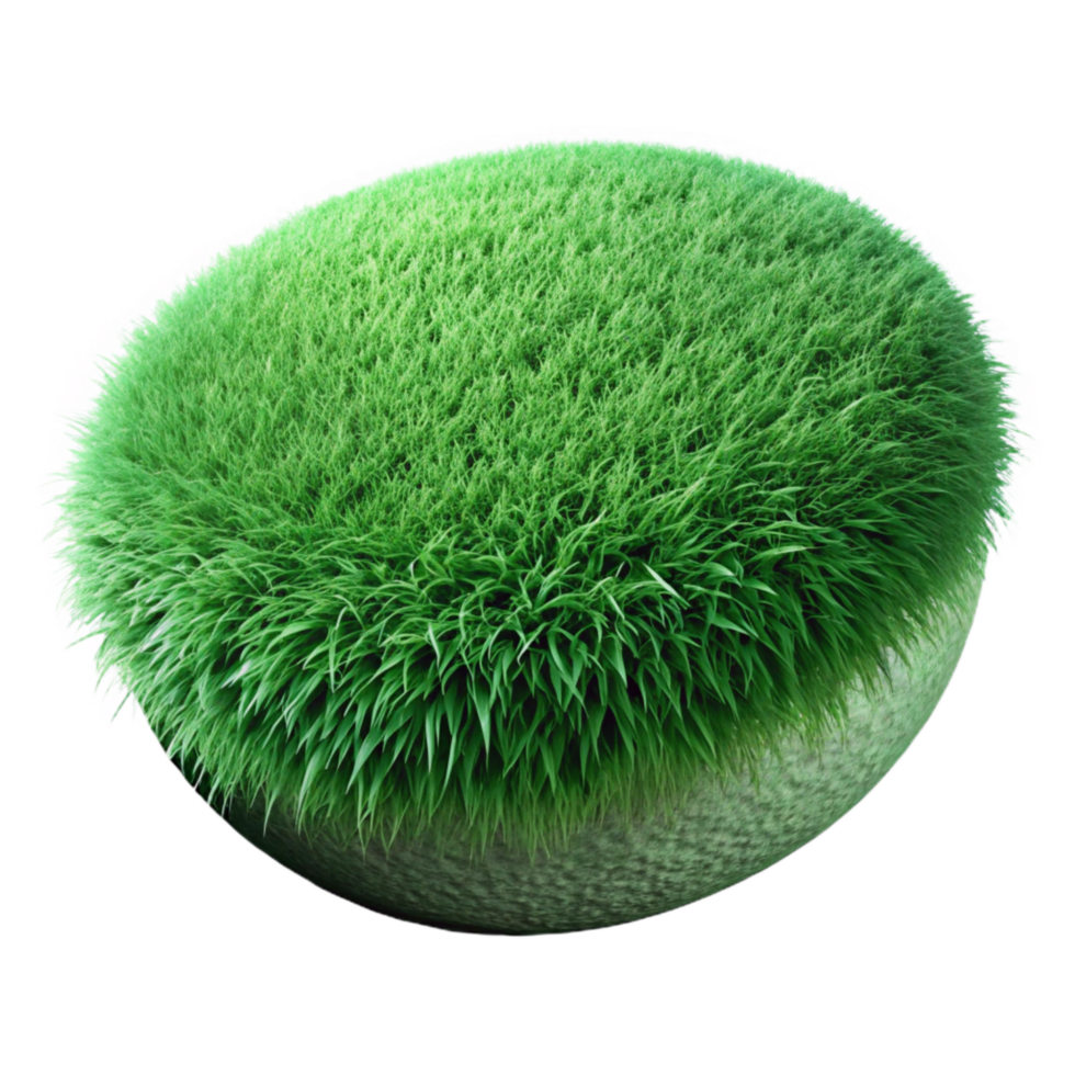 beautiful classic Green Grass Texture Detailed View Cutout 4K png