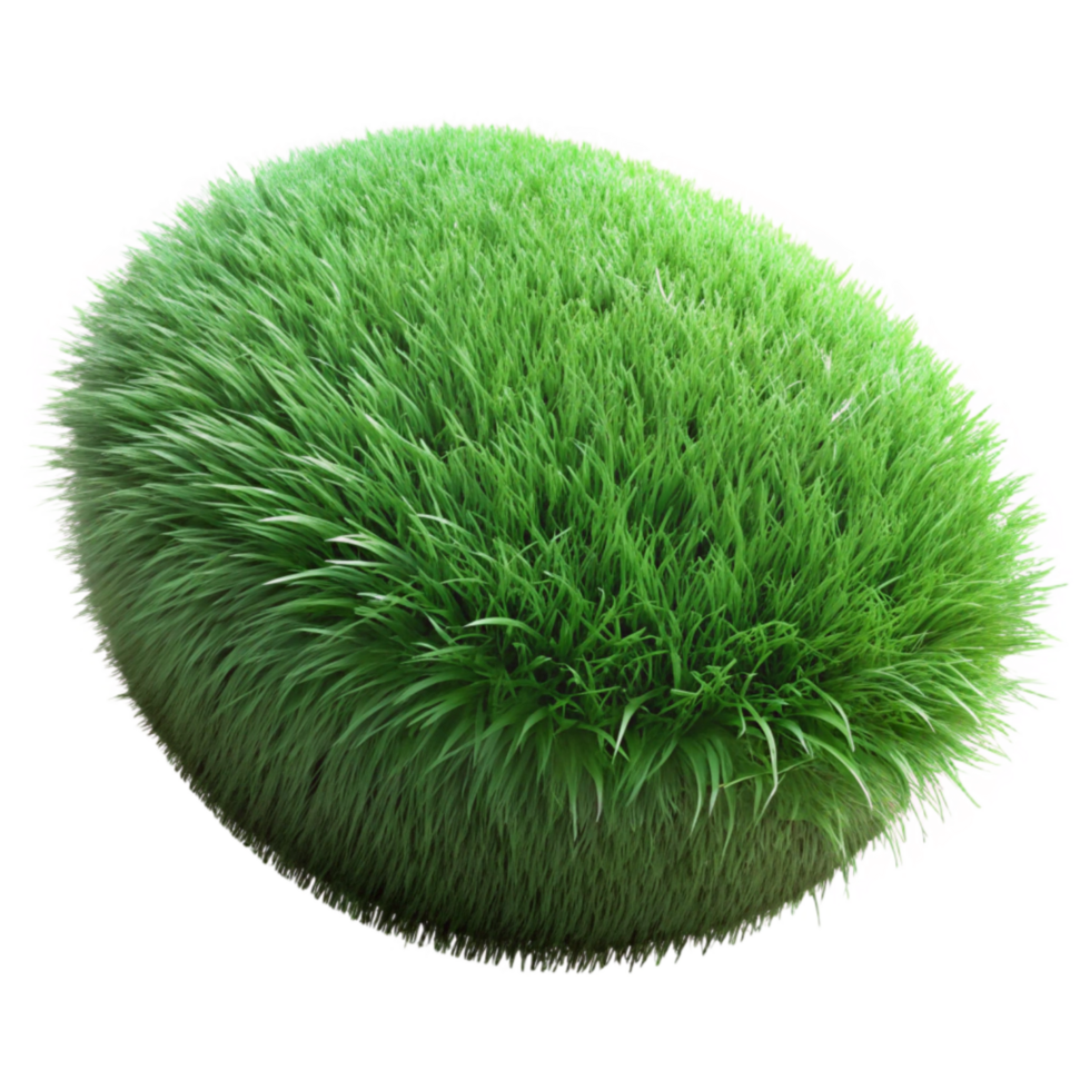 impressive modern Green Grass Texture Close Up Isolated high quality png