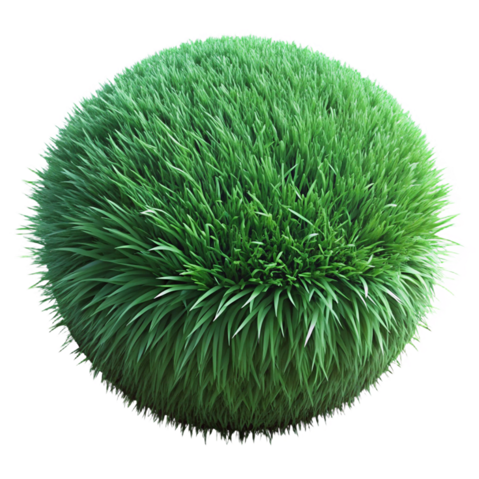 vibrant classic Green Grass Texture Close Up Isolated high resolution png