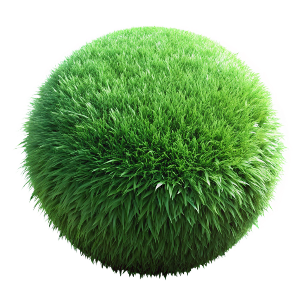 vibrant traditional Green Grass Texture Lush Close Up Isolated Element detailed png