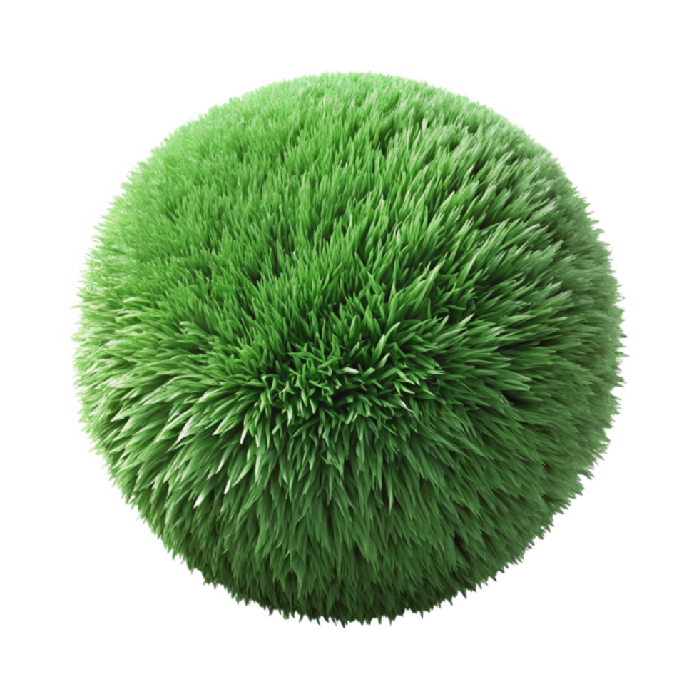 magnificent minimalist Green Grass Texture Top Down Cutout high resolution png