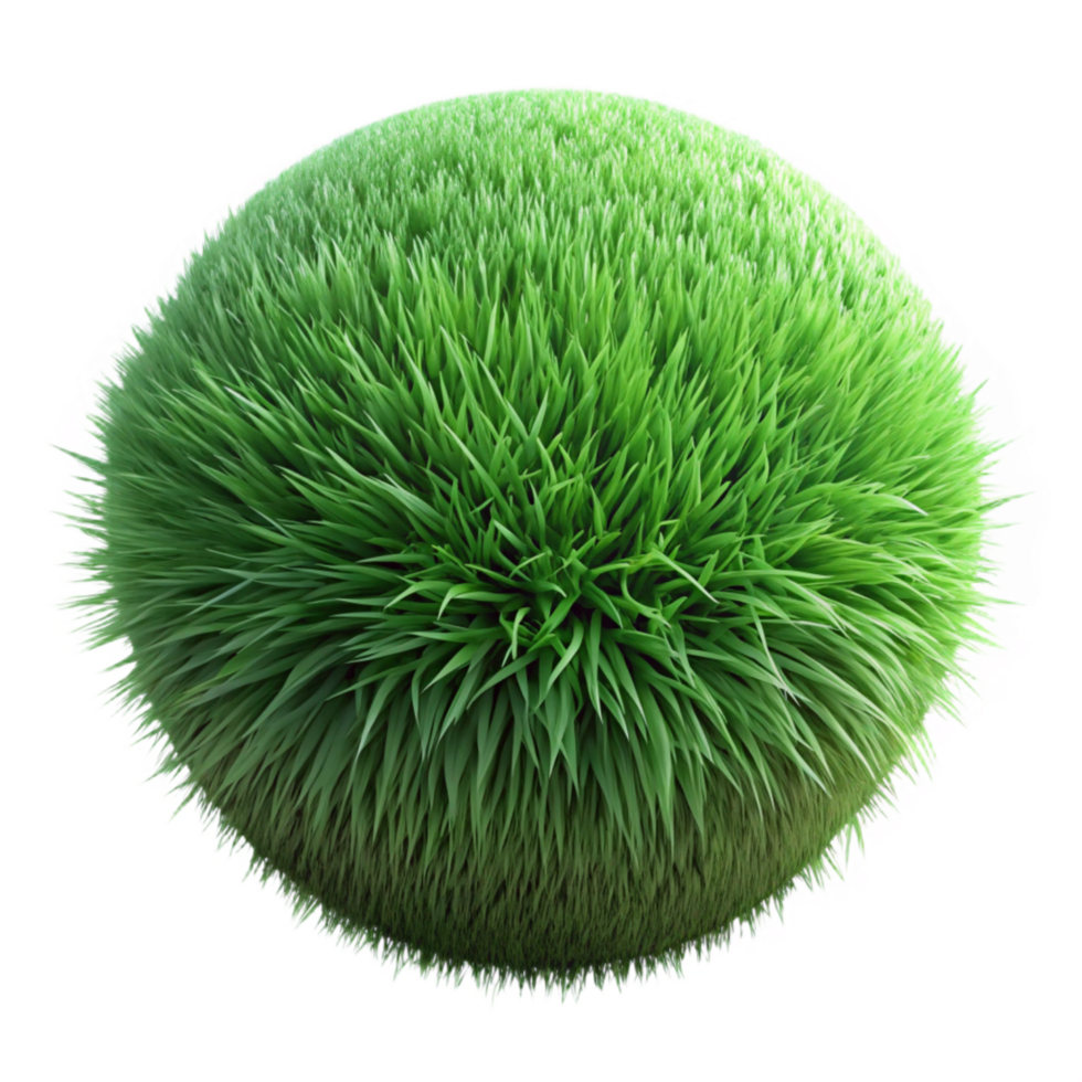 impressive creative Green Grass Texture Lush Close Up Isolated Element high resolution png