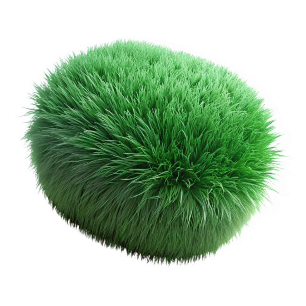 extraordinary creative Green Grass Tuft Isolated Element 4K png