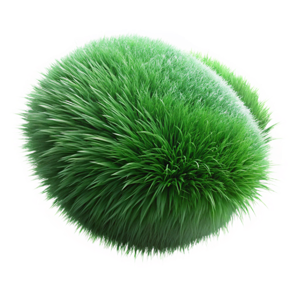 extraordinary creative Green Grass Tuft Isolated Element authentic png