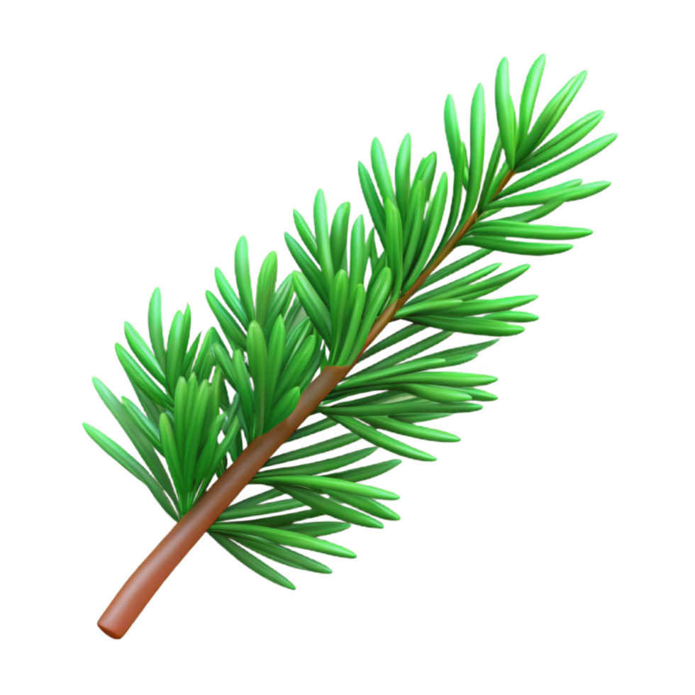elegant traditional Green Pine Tree Branch Isolated on Transparent Background high quality png