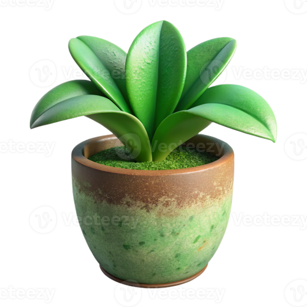 elegant creative Green Plant in Pot Side View Terracotta Pot Transparent 4K png