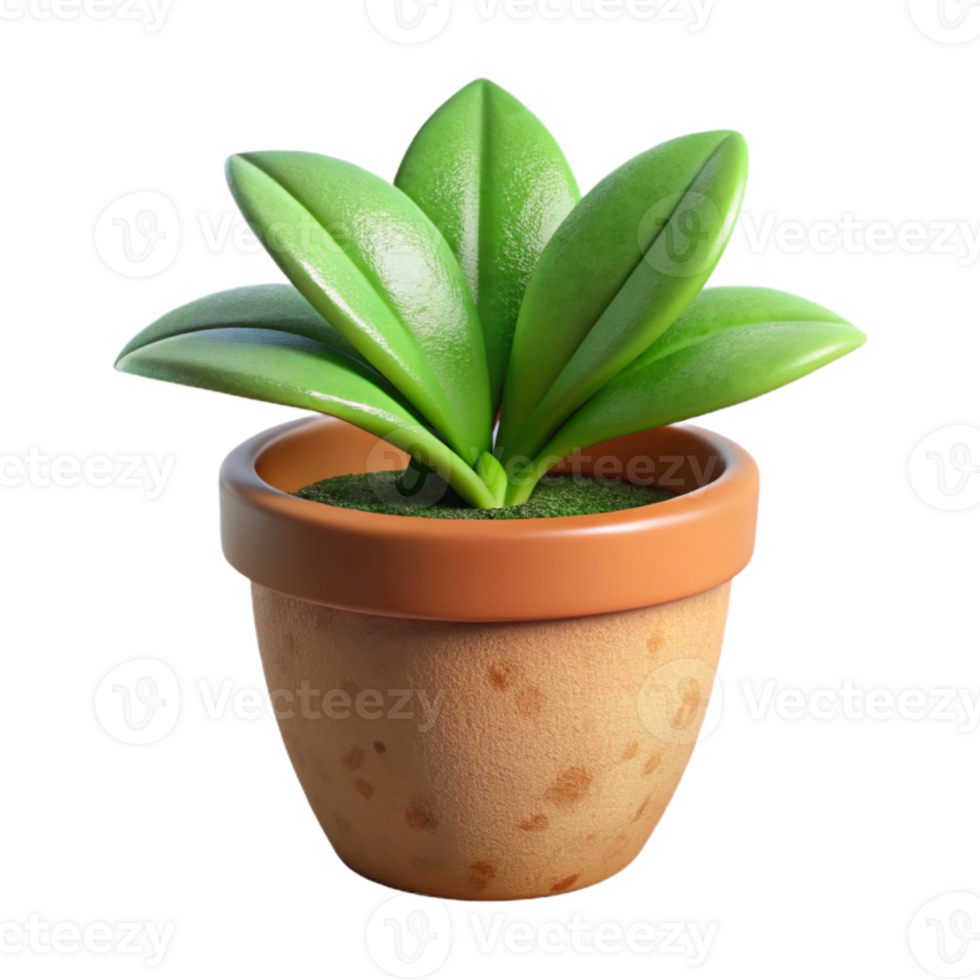 stunning contemporary Green Plant in Pot Side View Terracotta Pot Transparent detailed png