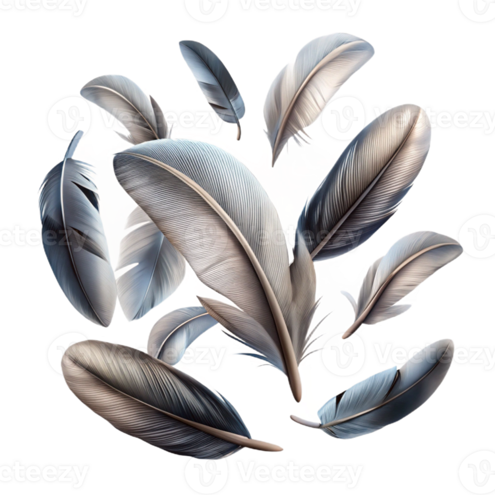 serene abstract Group of Feathers Falling Isolated with Varied Textures detailed png