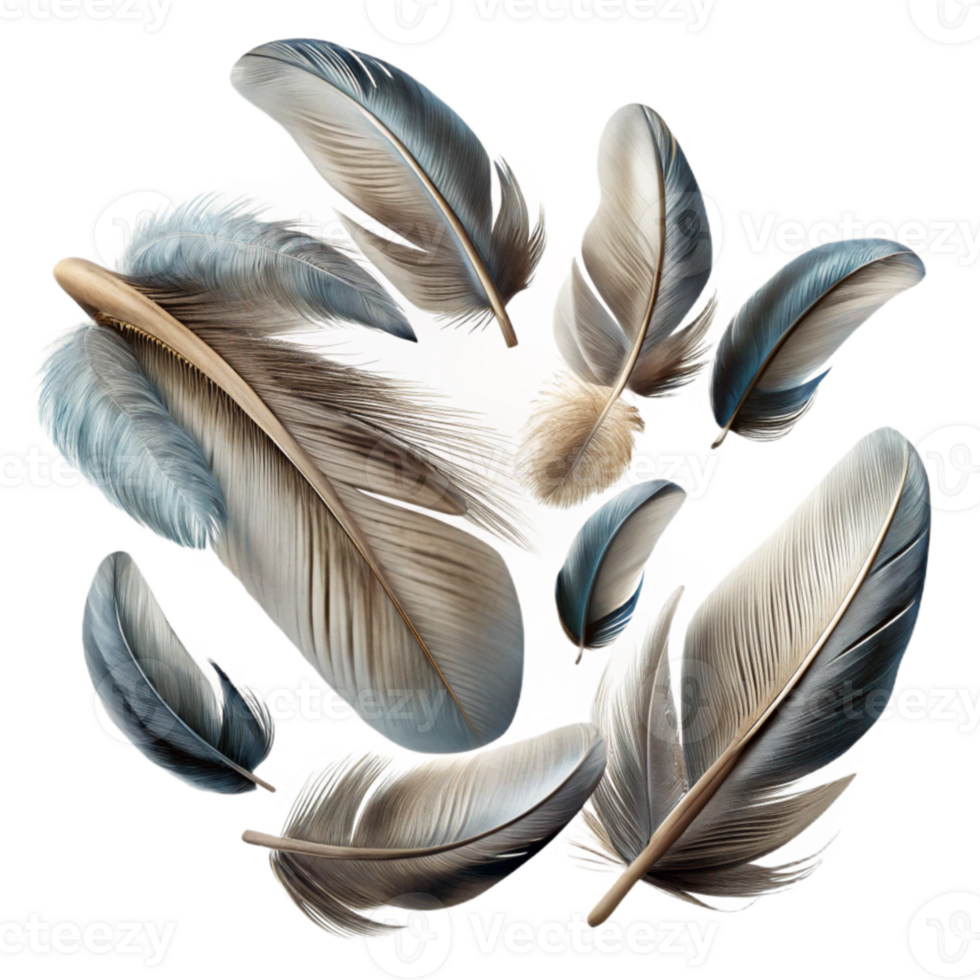 magnificent rustic Group of Feathers Falling Isolated with Varied Textures genuine png