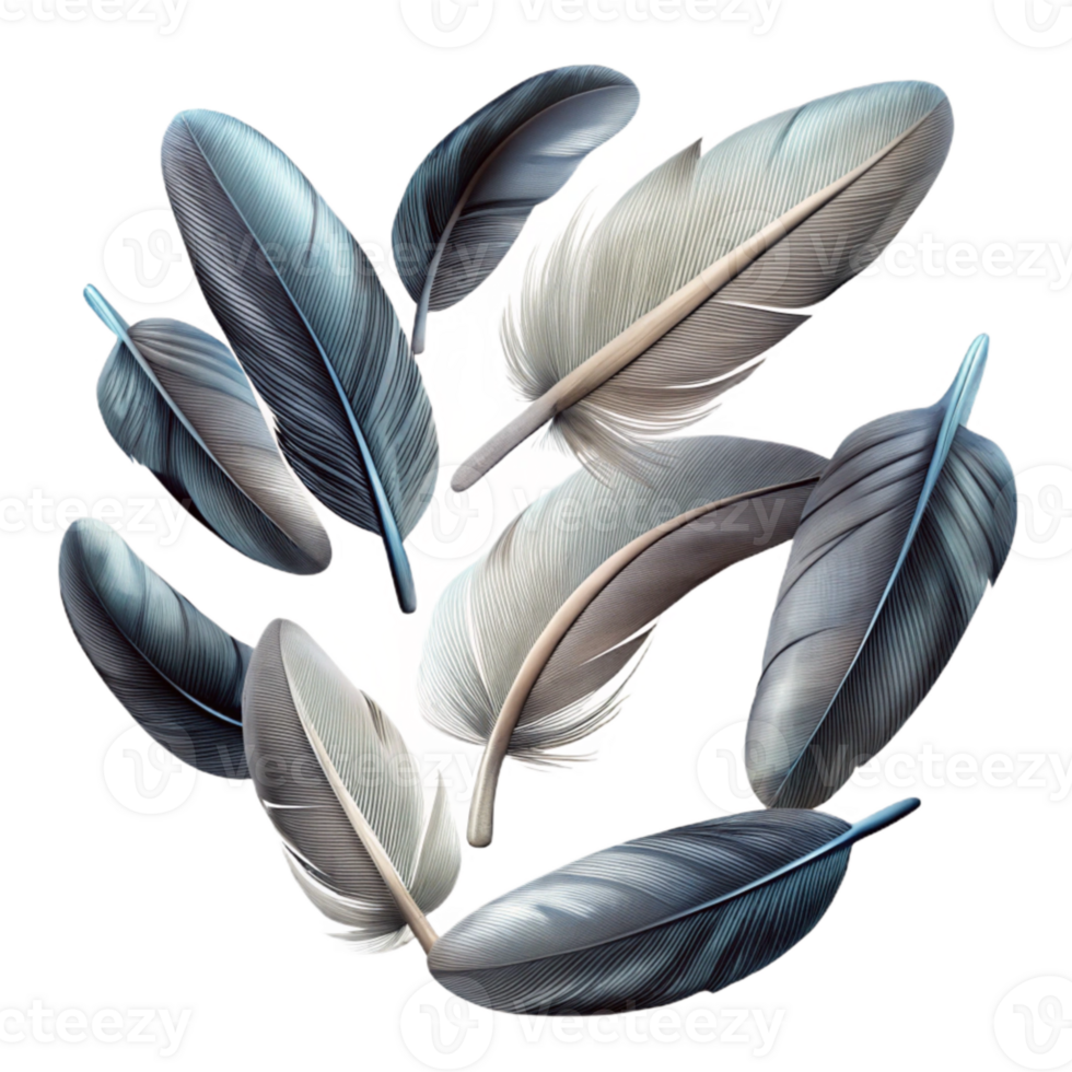 impressive contemporary Group of Feathers Falling Isolated with Varied Textures high resolution png