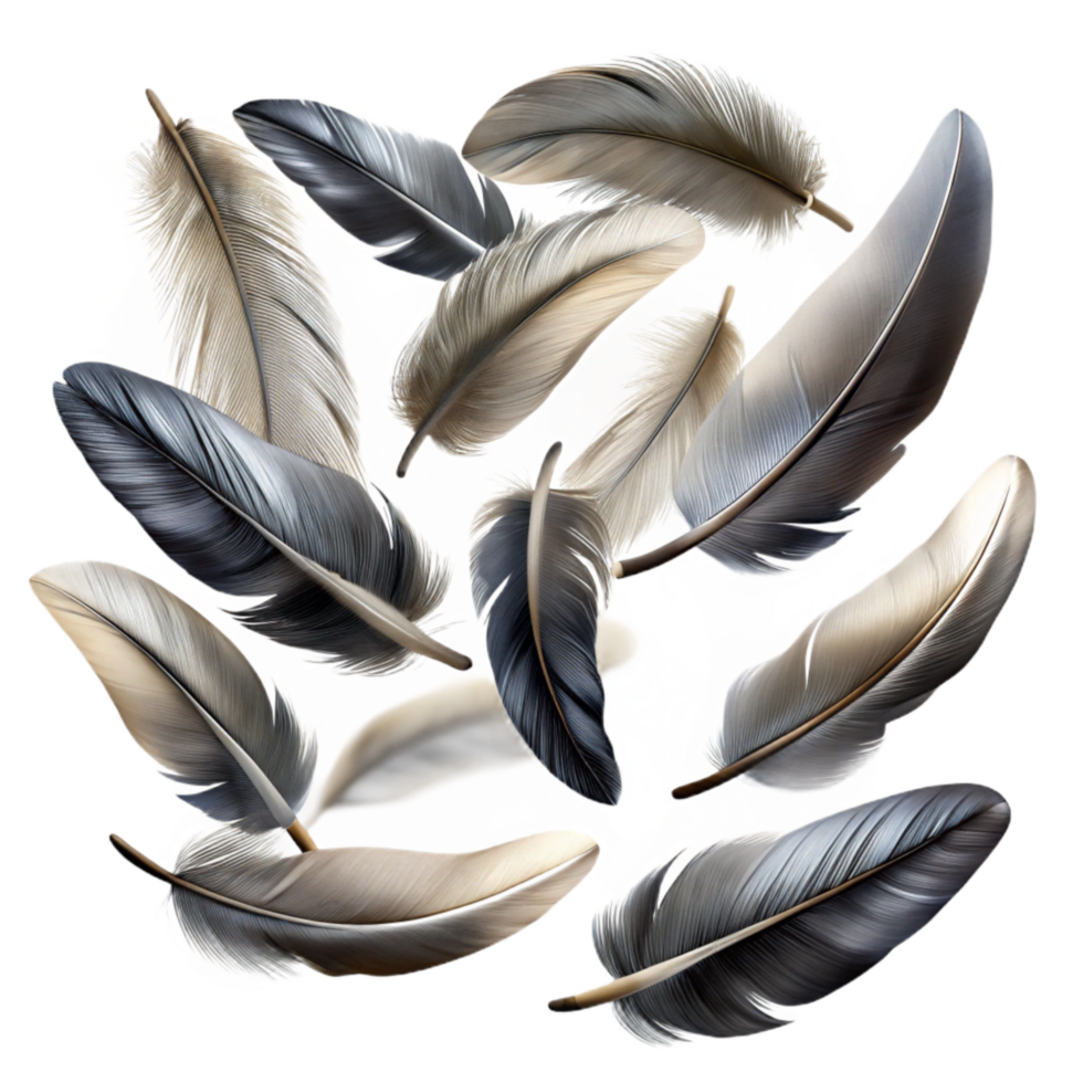 elegant classic Group of Feathers Falling Isolated with Varied Textures genuine png