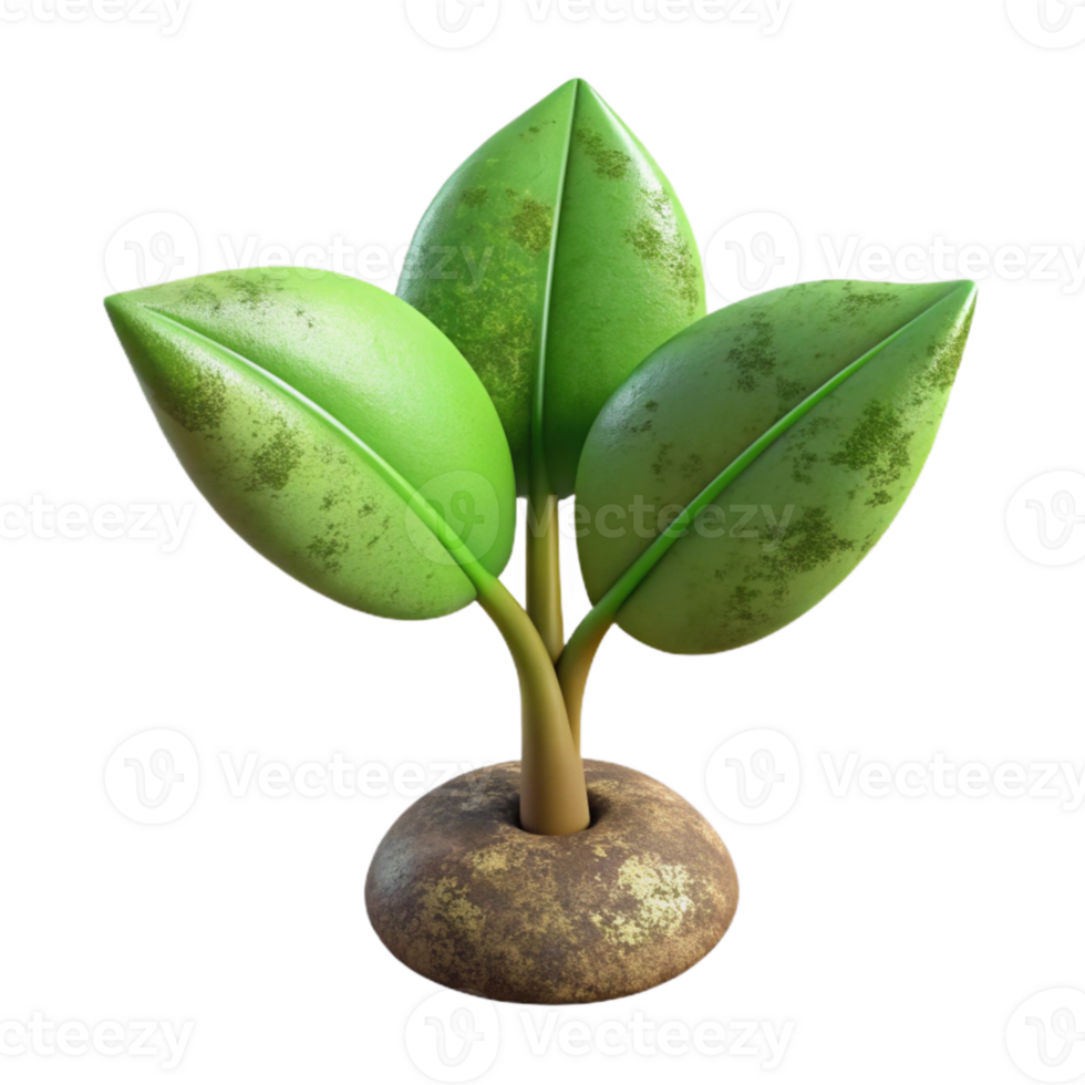 stunning contemporary Growing Plant Side View Cutout Transparent Background exclusive png
