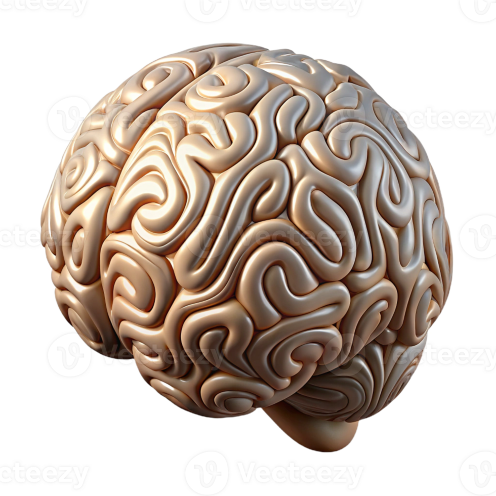 magnificent artistic Hand Drawn Brain with Intricate Patterns Cutout authentic png