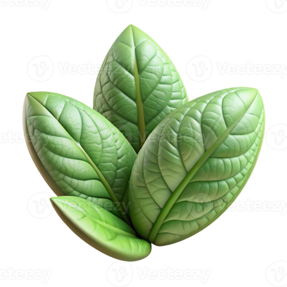 extraordinary minimalist Herbal Tea Leaves Cutout high resolution png