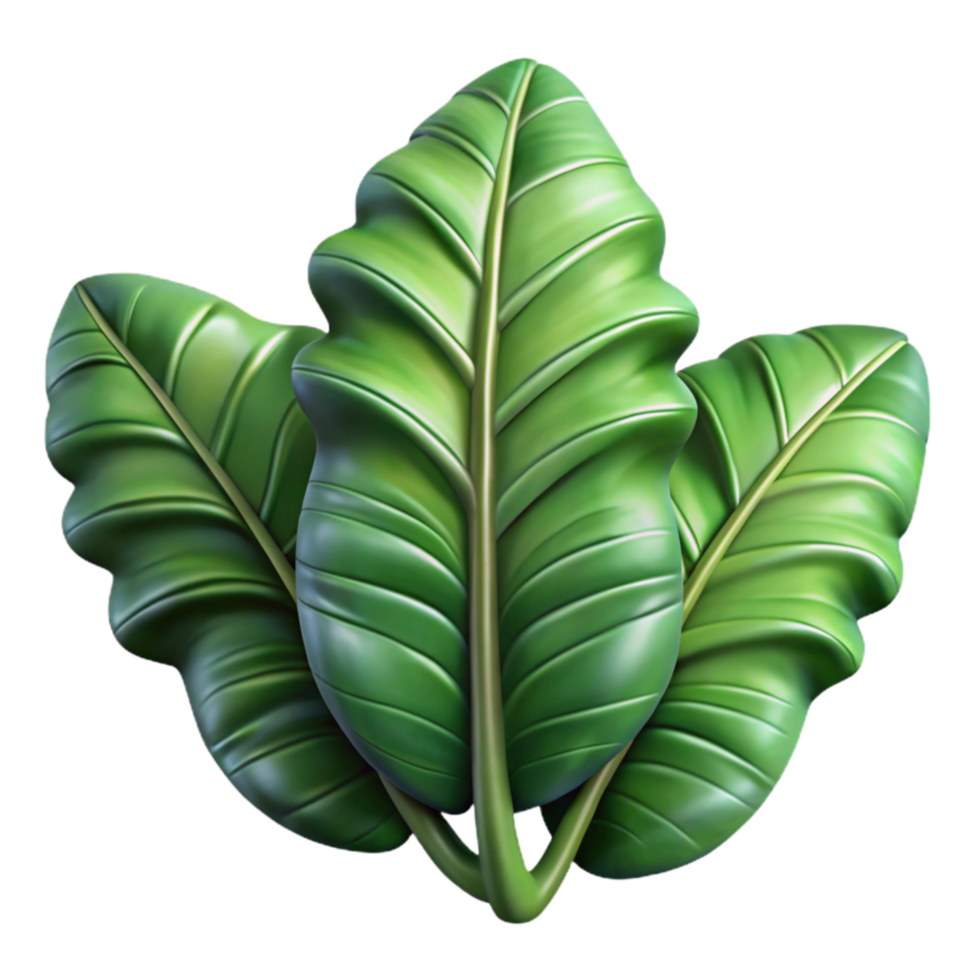 beautiful abstract Jungle Leaves Close Up Isolated premium png