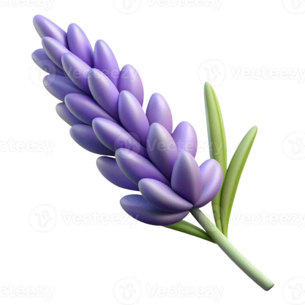 extraordinary modern Lavender Sprig Close Up Isolated Element premium png