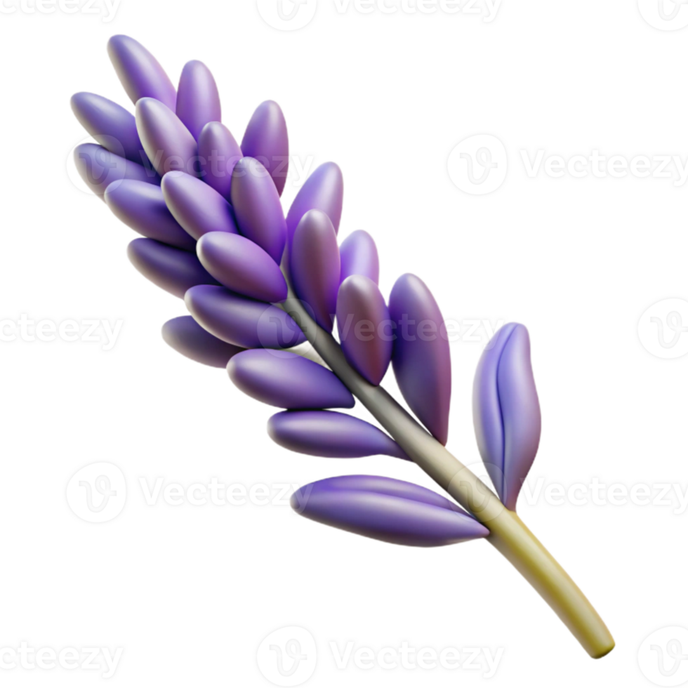 beautiful minimalist Lavender Sprig Close Up Isolated Element 4K png