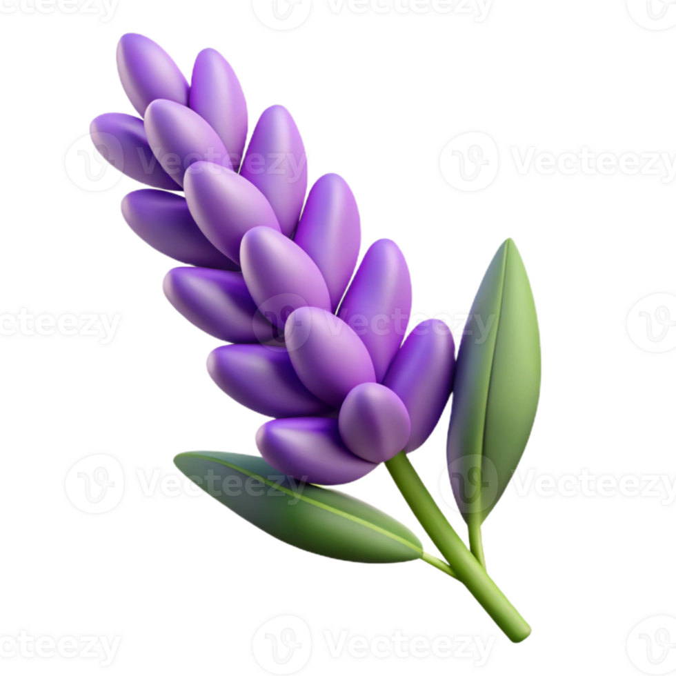 dramatic rustic Lavender Sprig with Purple Flowers Isolated exclusive png