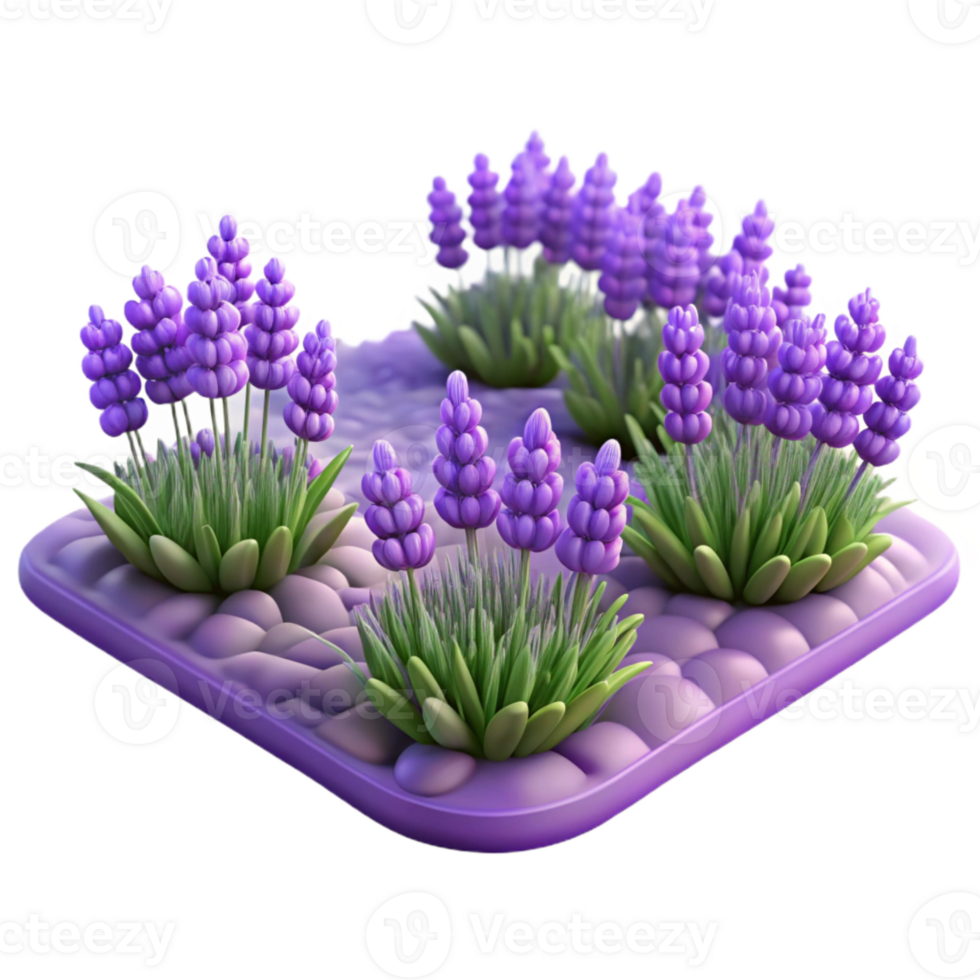 beautiful vintage Lavender Field Purple Flowers Blooming Transparent Background 4K png