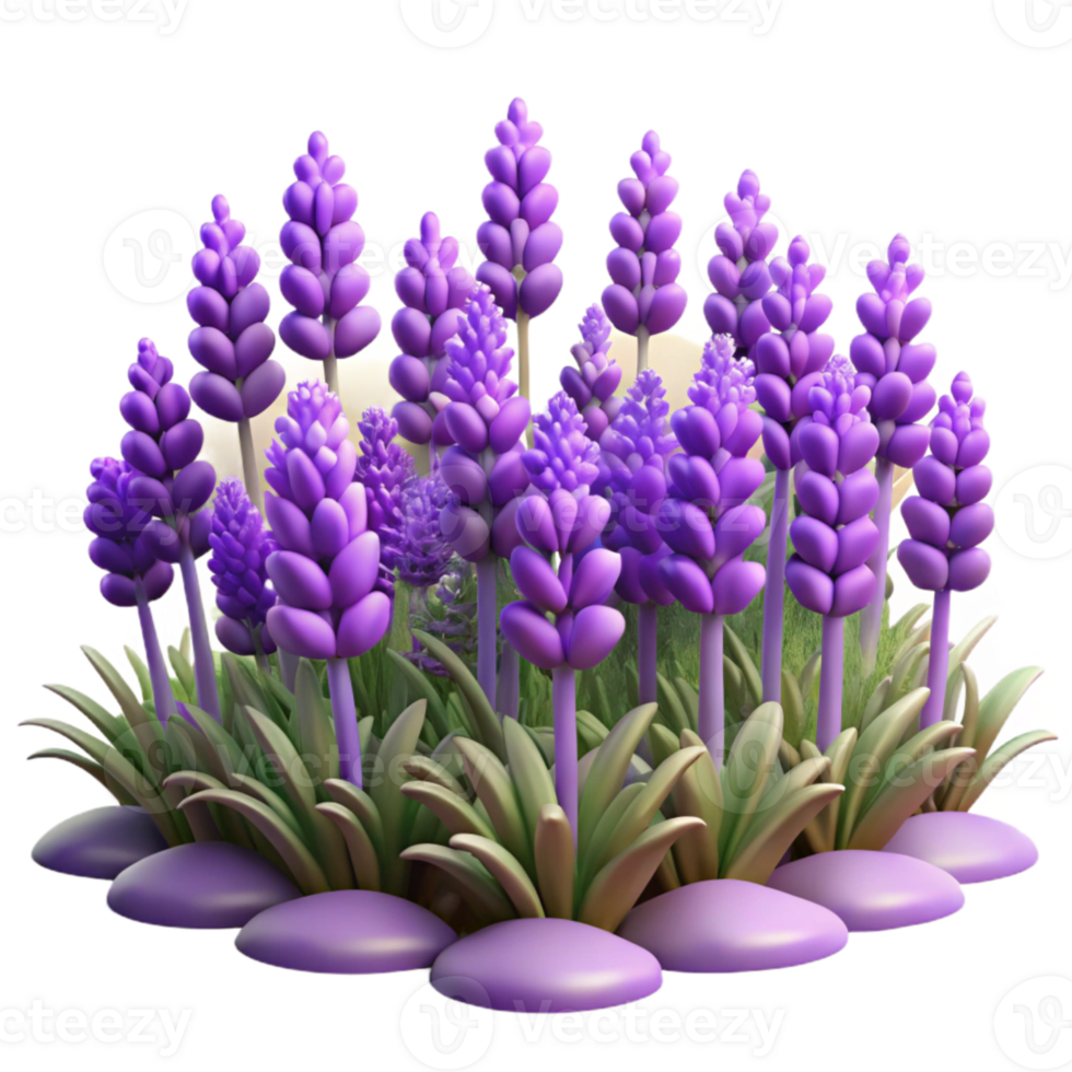 magnificent modern Lavender Field Purple Flowers Blooming Transparent Background detailed png