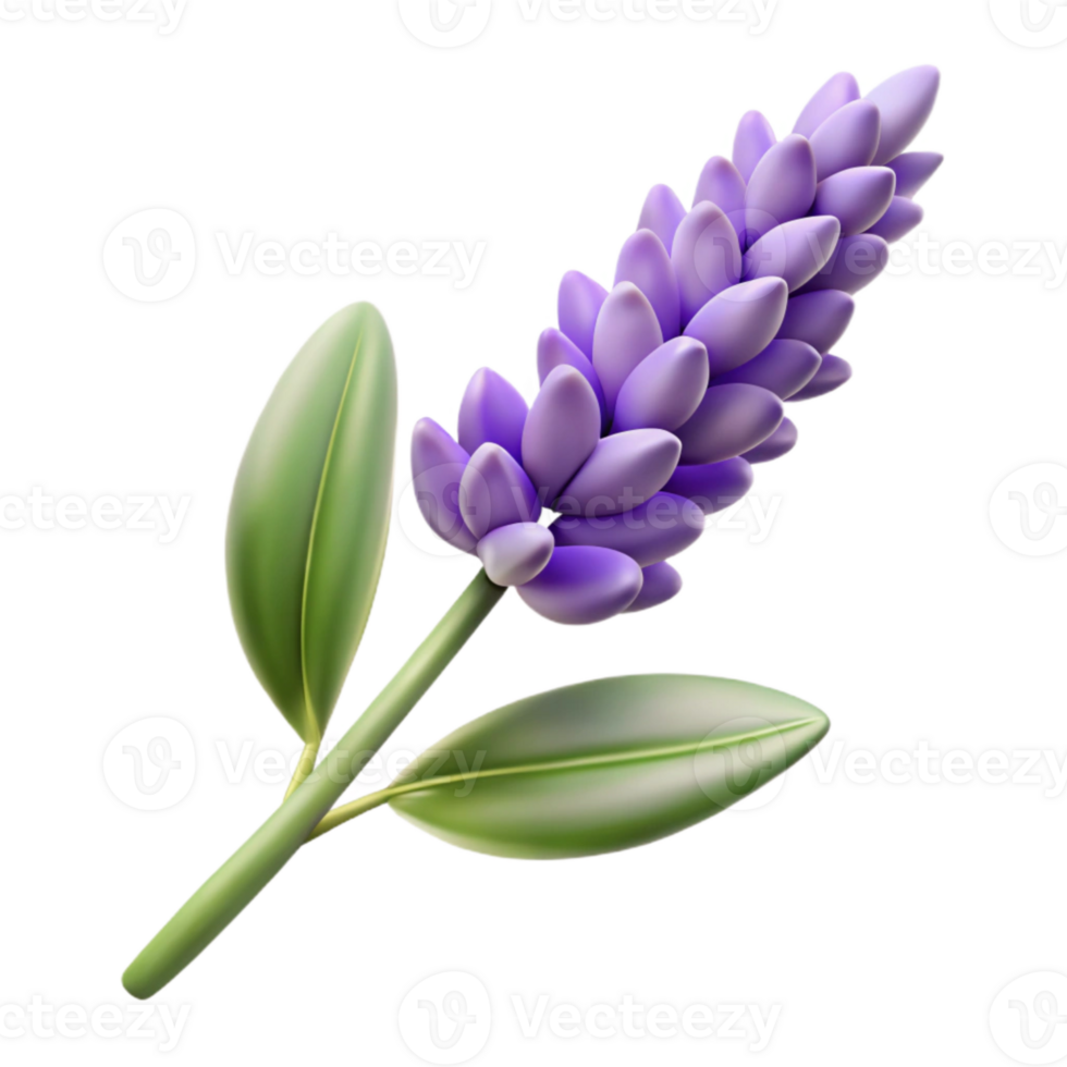 elegant artistic Lavender Sprig with Flowers Transparent Background professional png